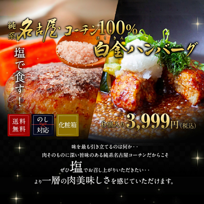 純系名古屋コーチン ハンバーグ6個入り